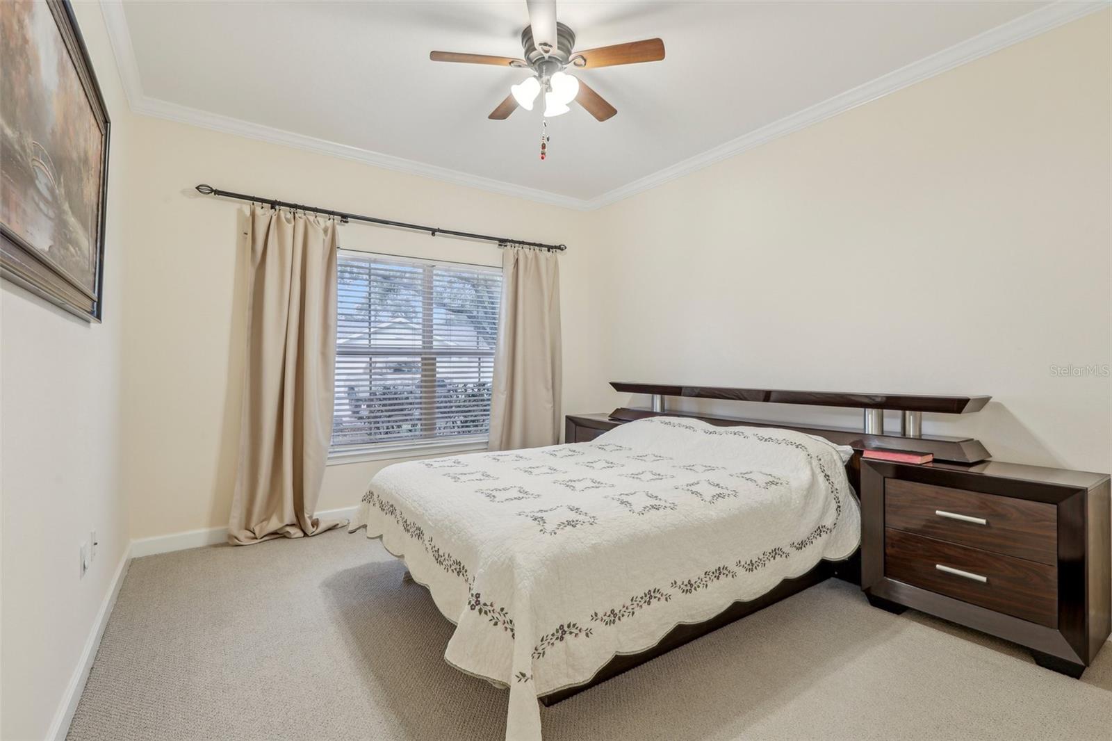 18402 BRIDLE CLUB DR #18402, TAMPA, FL, 33647