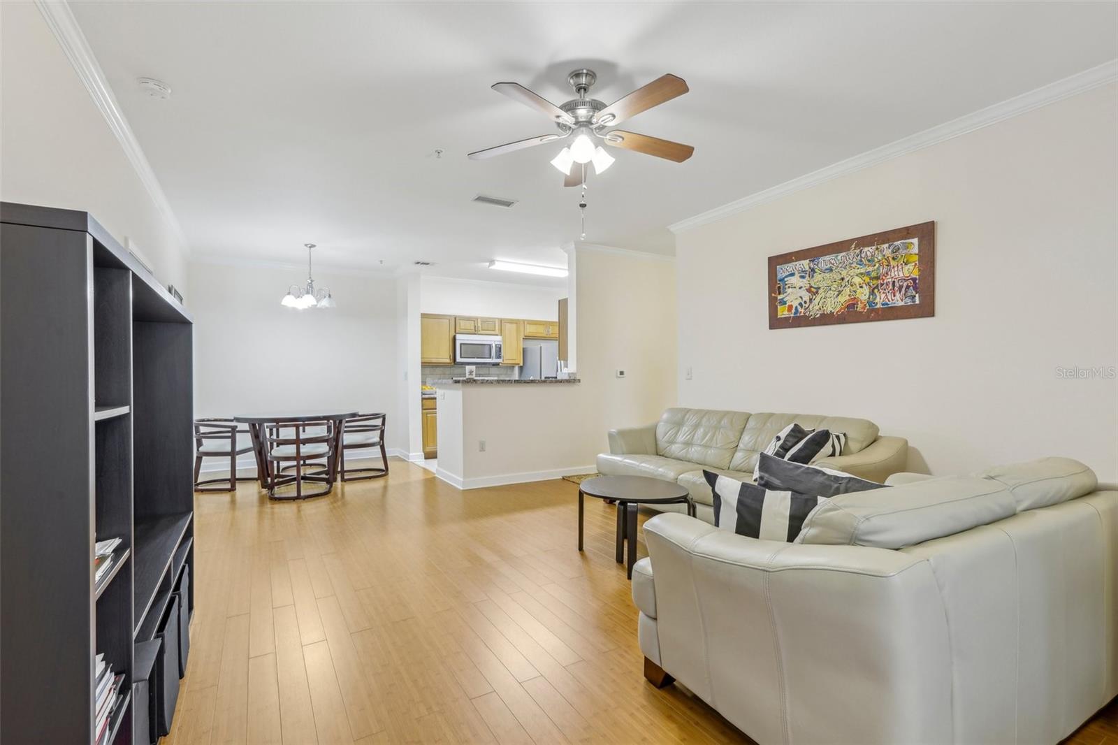 18402 BRIDLE CLUB DR #18402, TAMPA, FL, 33647