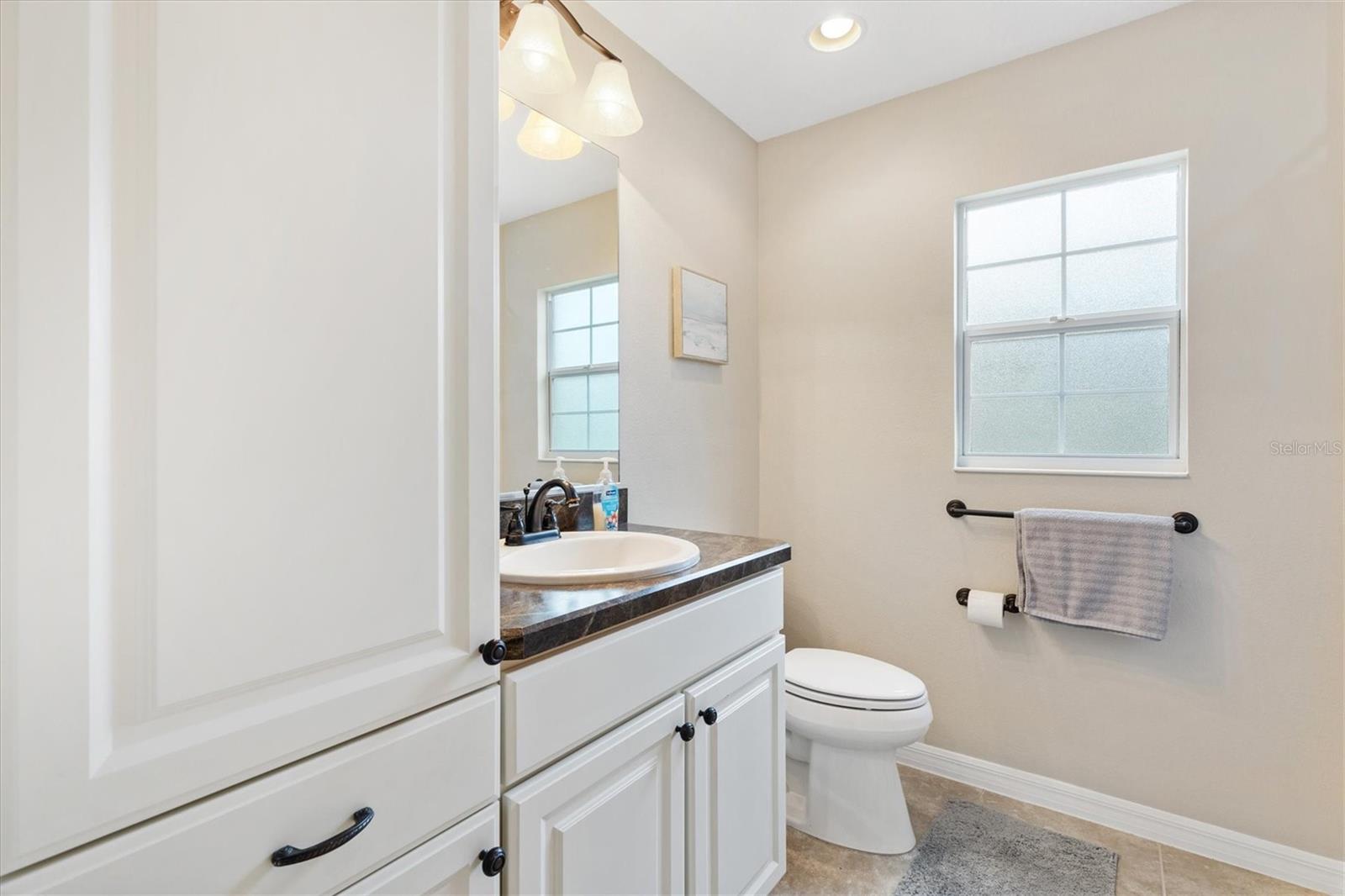 3962 NEIGHBORLY WAY, THE VILLAGES, FL, 32163