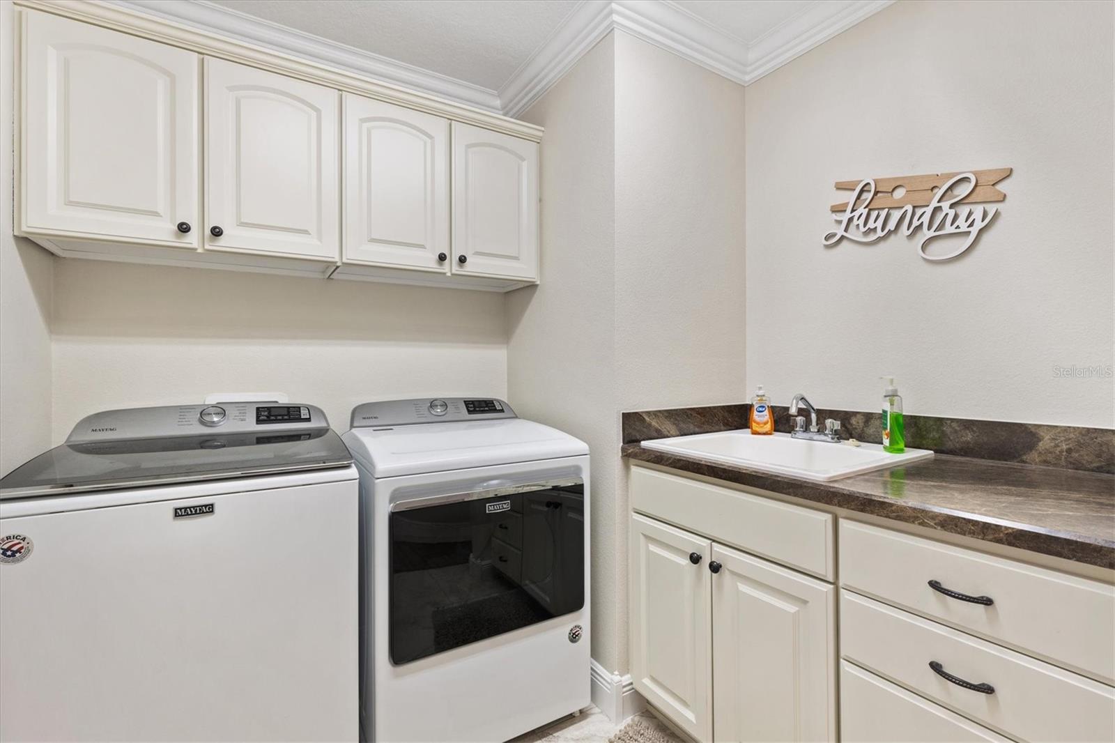 3962 NEIGHBORLY WAY, THE VILLAGES, FL, 32163