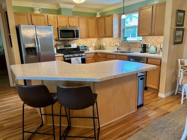 457 ENRIGHT PL, THE VILLAGES, FL, 32162