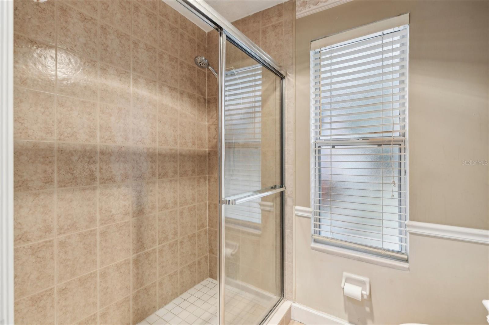 15831 SE 89TH TER, SUMMERFIELD, FL, 34491