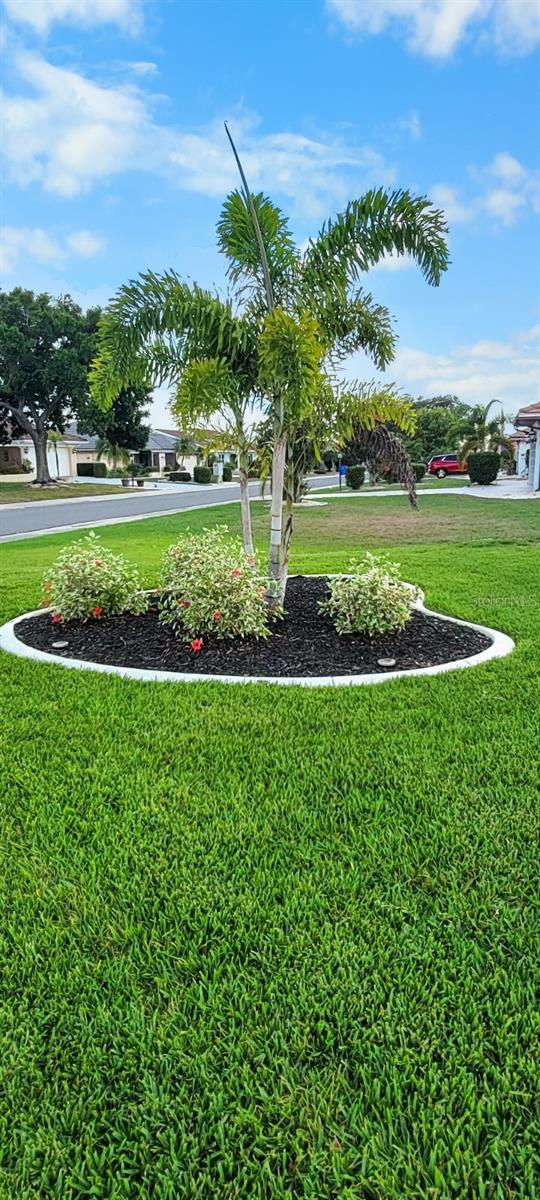 1809 WOLF LAUREL DR, SUN CITY CENTER, FL, 33573