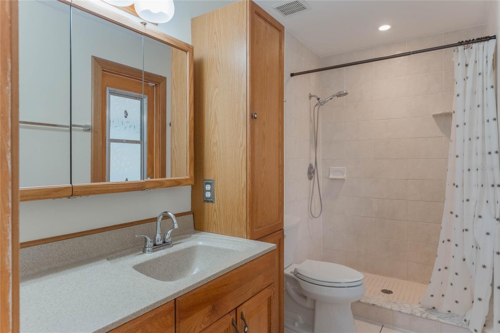 117 E GOODHEART AVE, LAKE MARY, FL, 32746