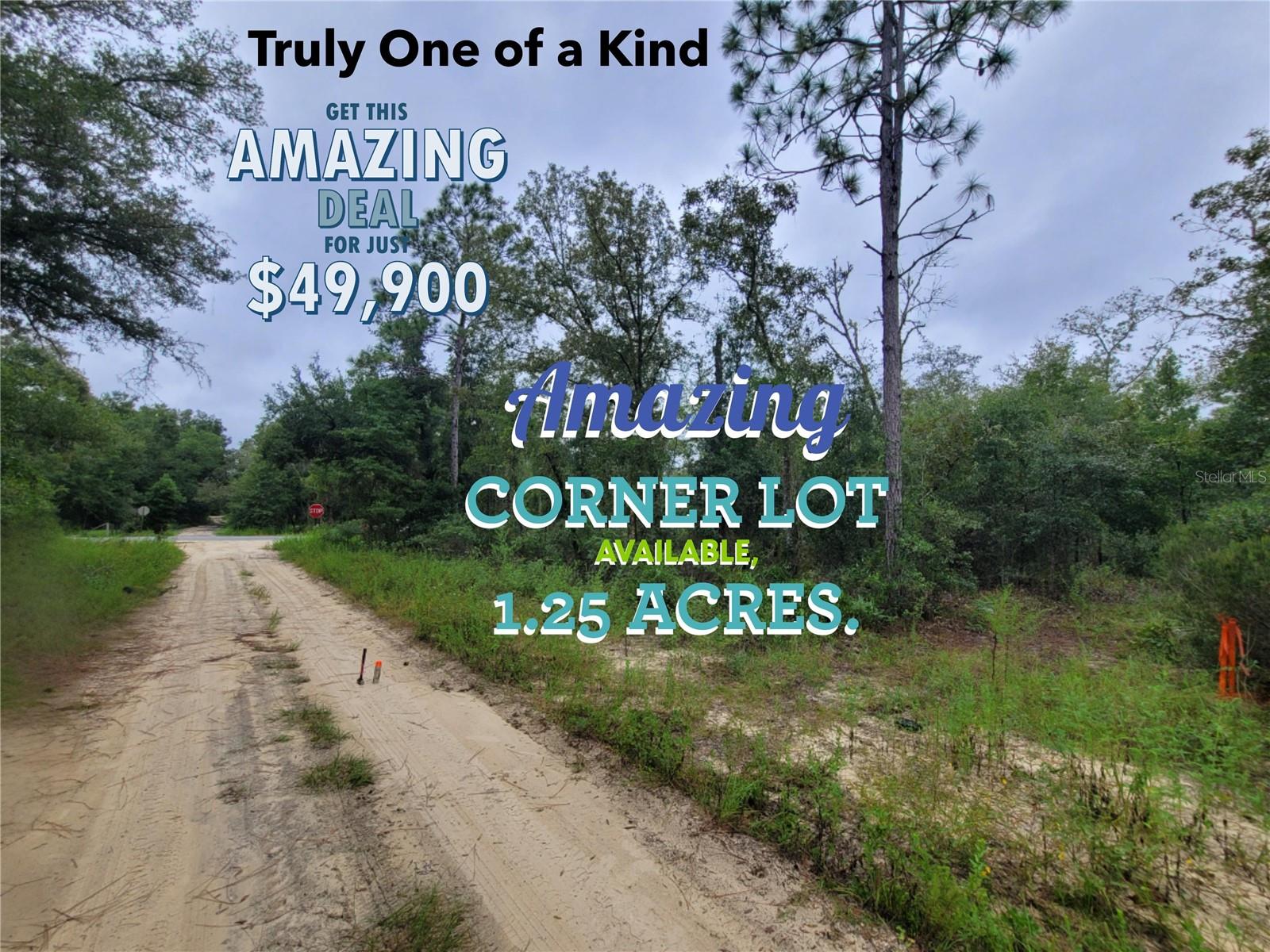00 NE 120TH ST, BRONSON, FL, 32621
