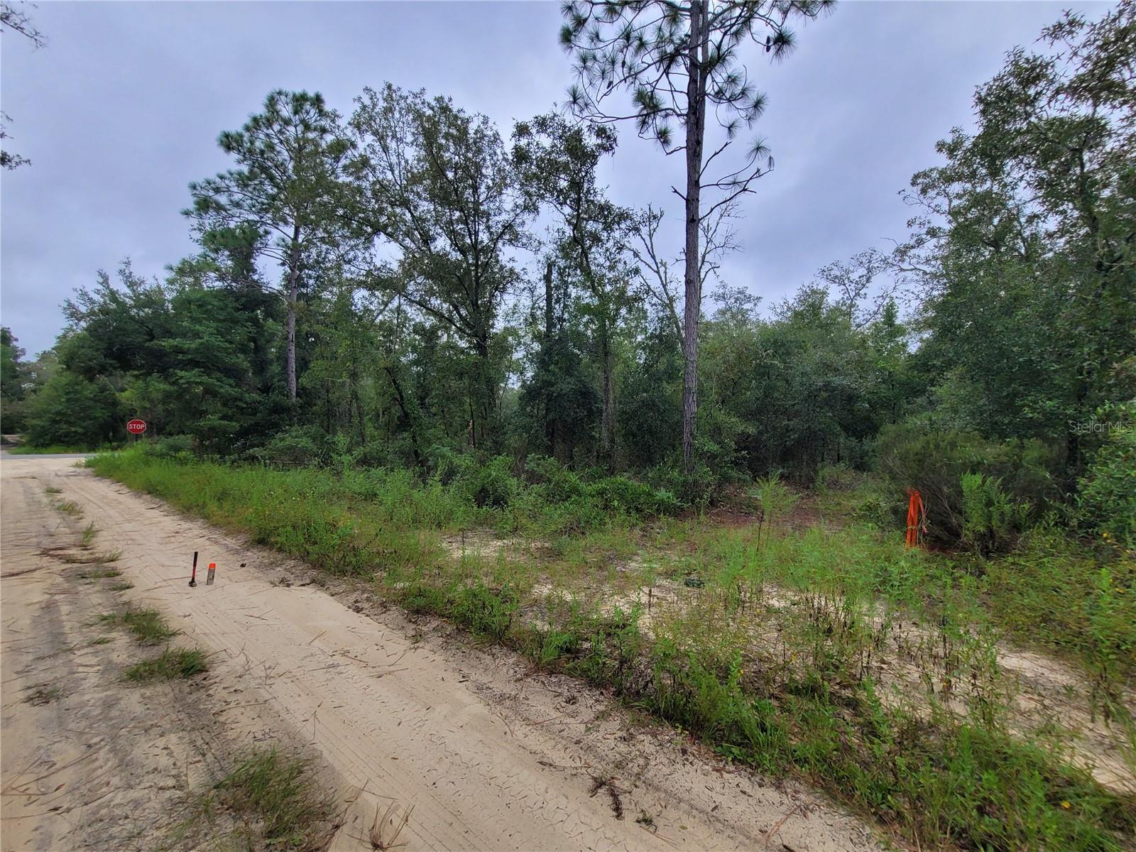 00 NE 120TH ST, BRONSON, FL, 32621