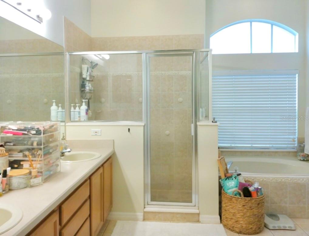 335 GRAND RESERVE DR, DAVENPORT, FL, 33837
