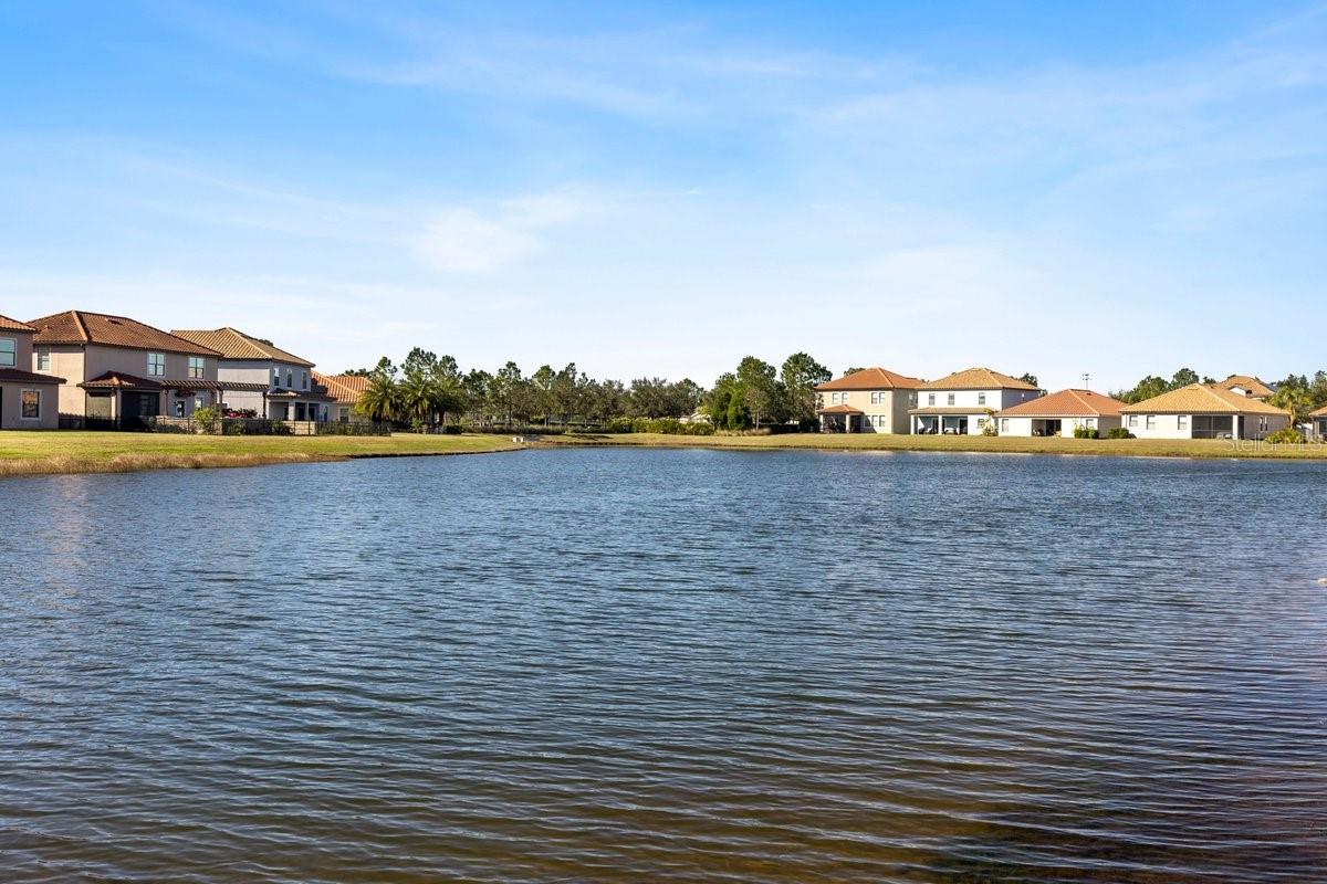 11928 SAND MYRTLE RD, RIVERVIEW, FL, 33579