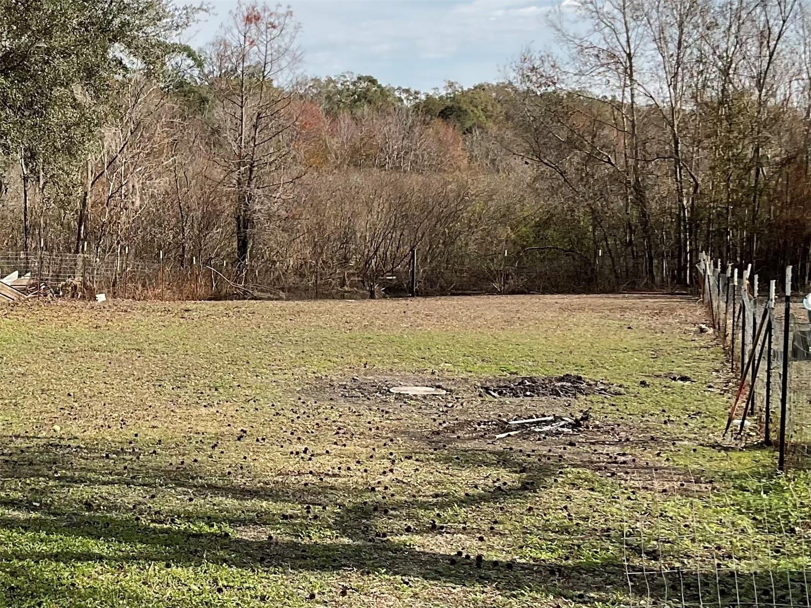 11587 CR 675W, WEBSTER, FL, 33597