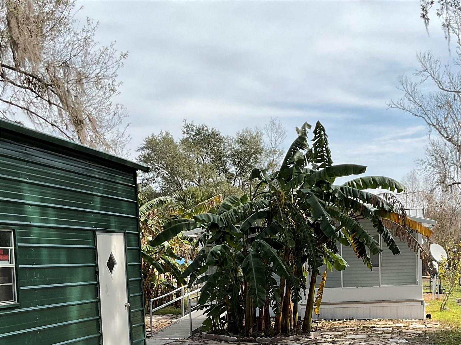 11587 CR 675W, WEBSTER, FL, 33597