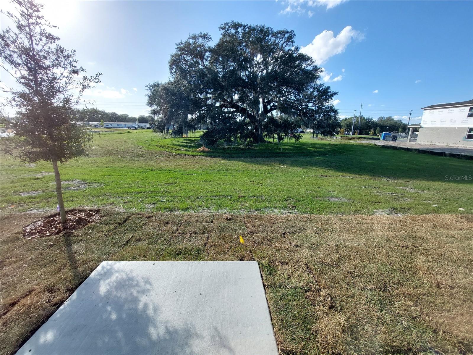 34775 TELLURIDE LN, ZEPHYRHILLS, FL, 33541