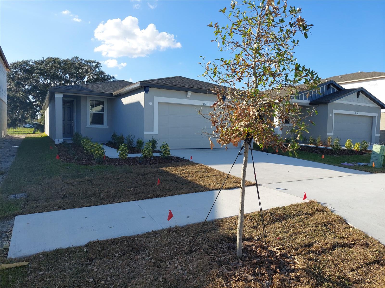 34775 TELLURIDE LN, ZEPHYRHILLS, FL, 33541