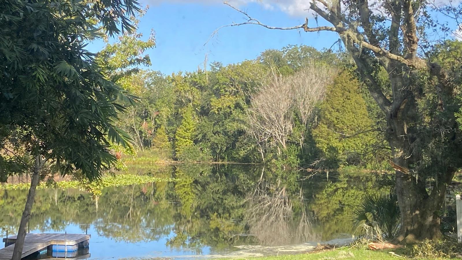 3645 MIRROR LAKE DR, APOPKA, FL, 32703