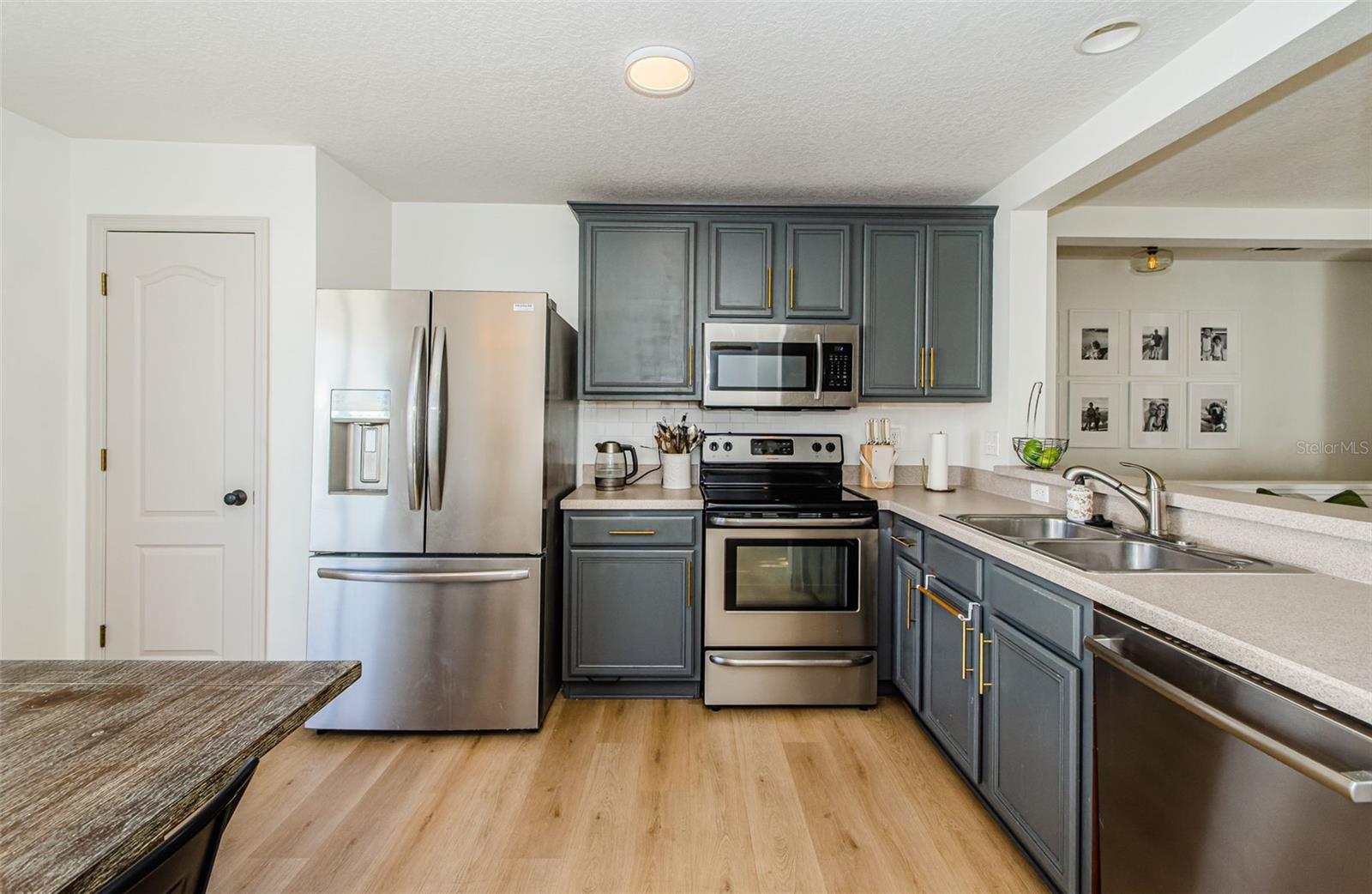 9607 MAXSON DR, LAND O LAKES, FL, 34638