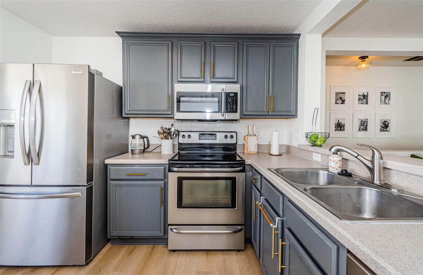 9607 MAXSON DR, LAND O LAKES, FL, 34638