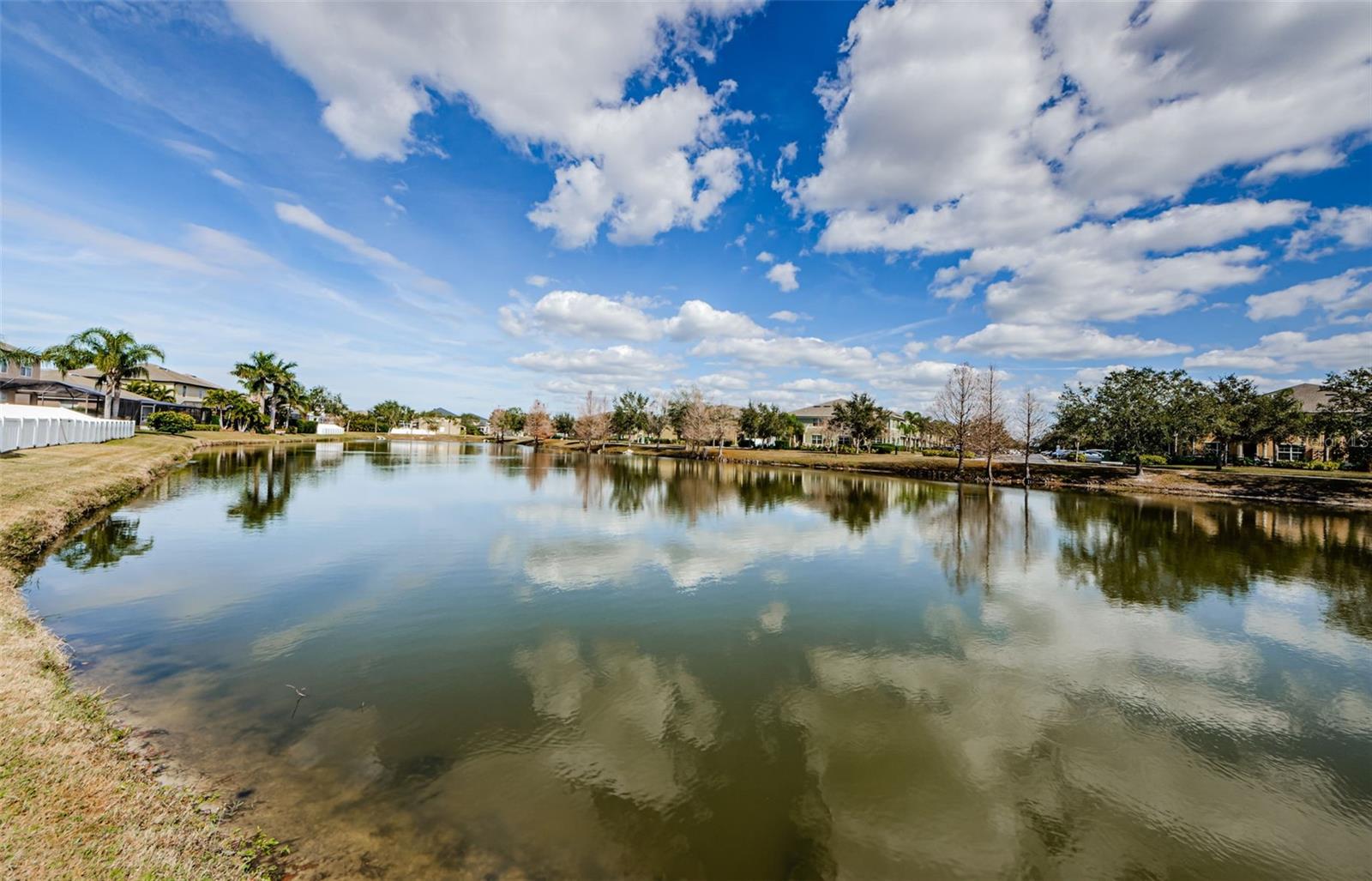 1348 IMPATIENS CT, TRINITY, FL, 34655