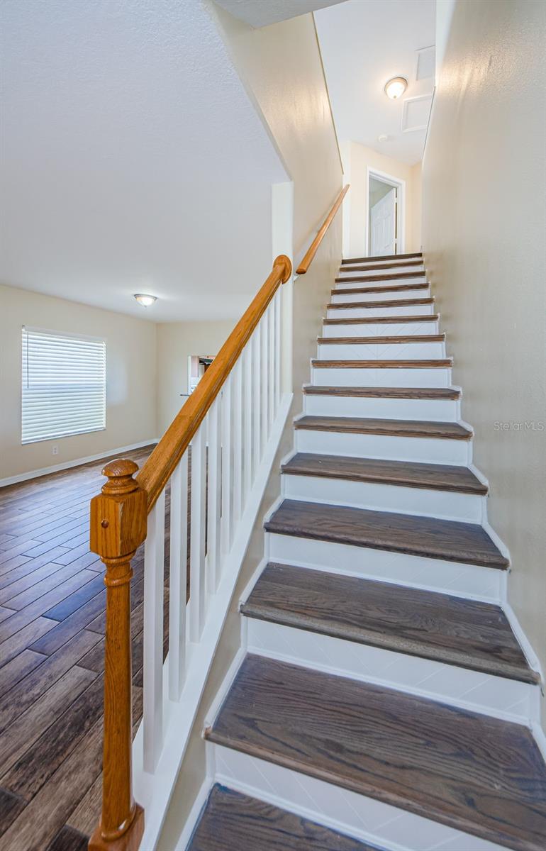 1348 IMPATIENS CT, TRINITY, FL, 34655