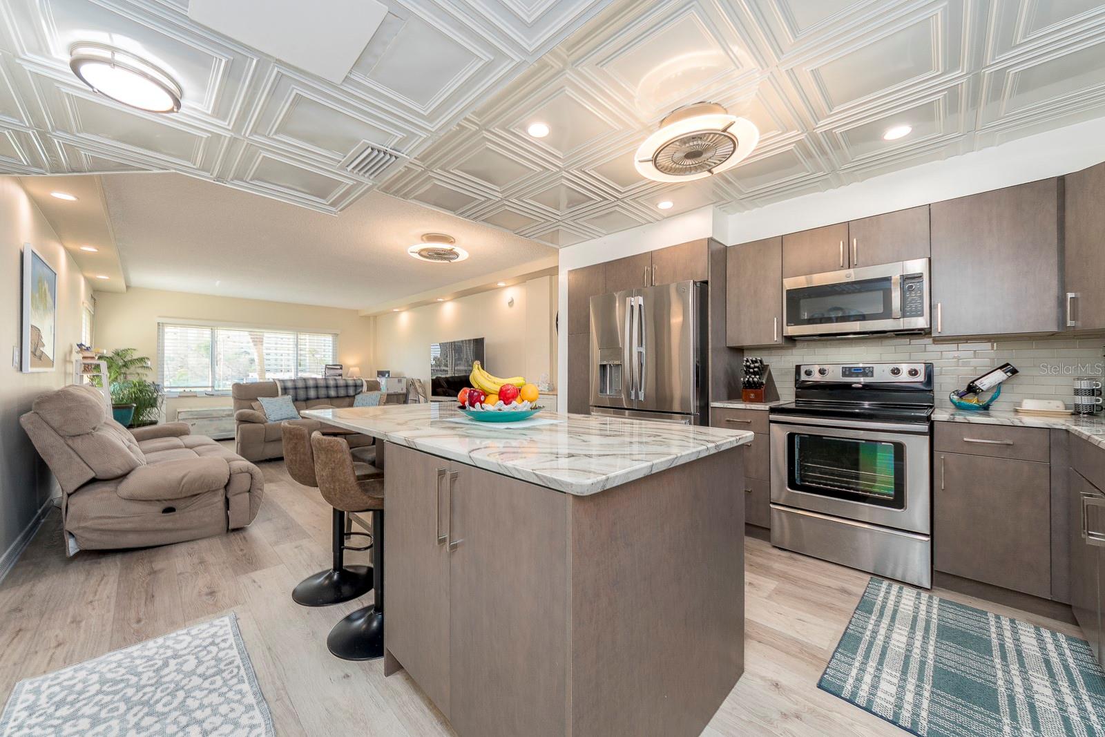 4650 COVE CIR #207, ST PETERSBURG, FL, 33708