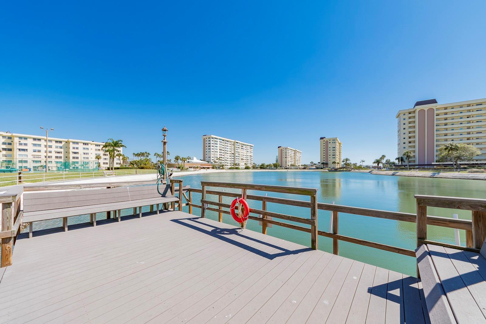 4650 COVE CIR #207, ST PETERSBURG, FL, 33708