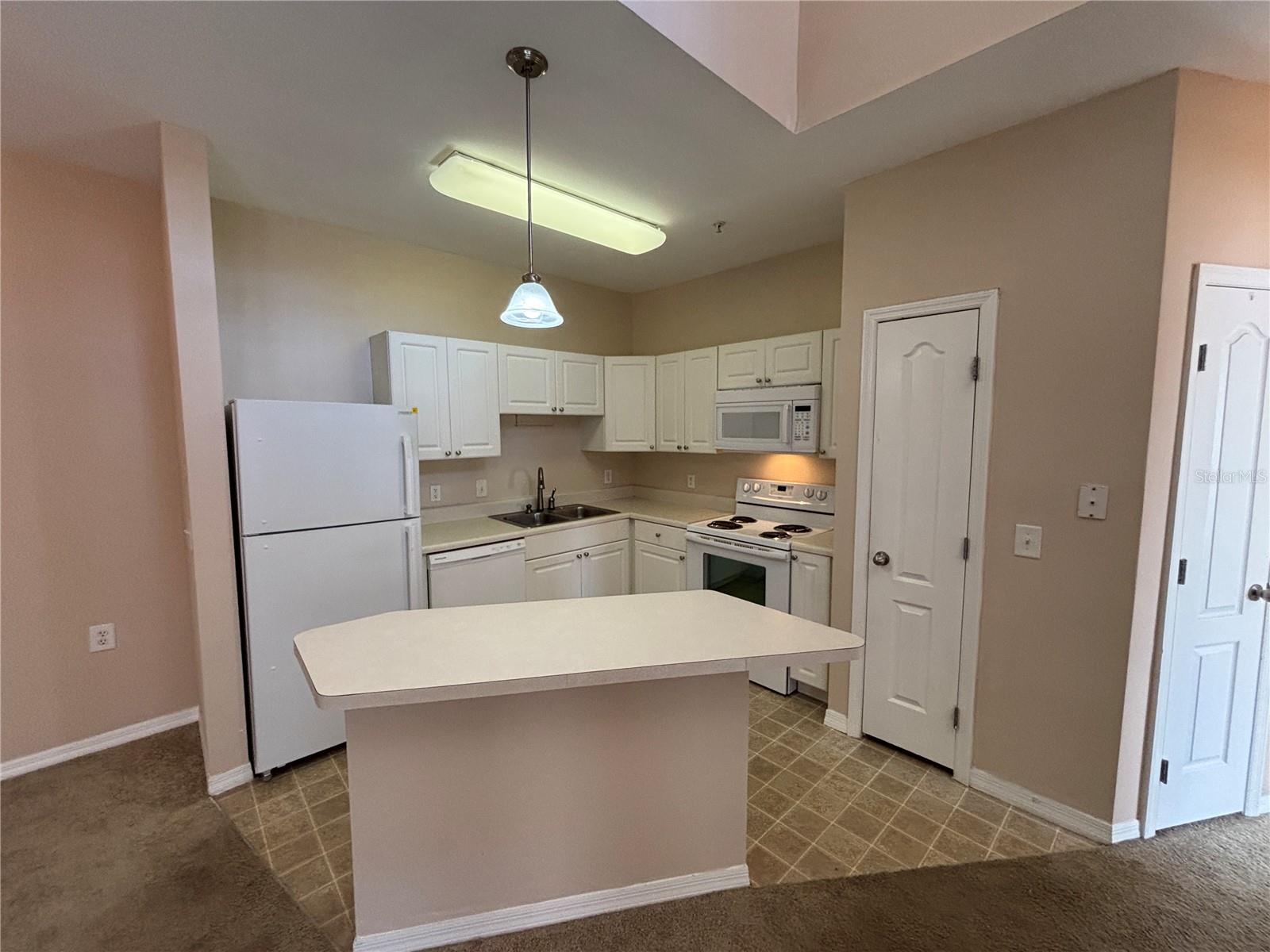 1410 VILLA CAPRI CIR #308, ODESSA, FL, 33556
