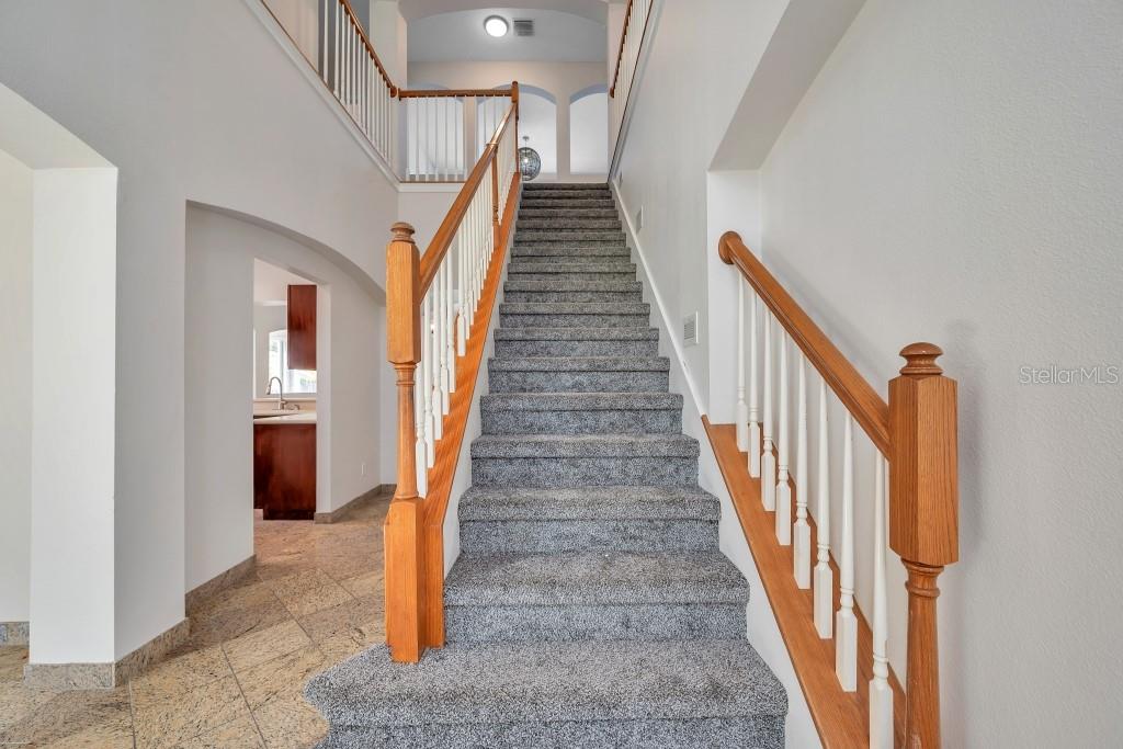 1542 MCCREA DR, LUTZ, FL, 33549