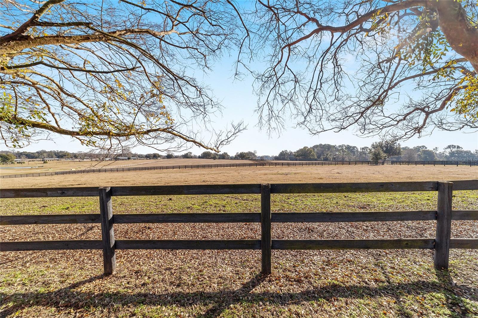 1080 NW 114TH ST, OCALA, FL, 34475