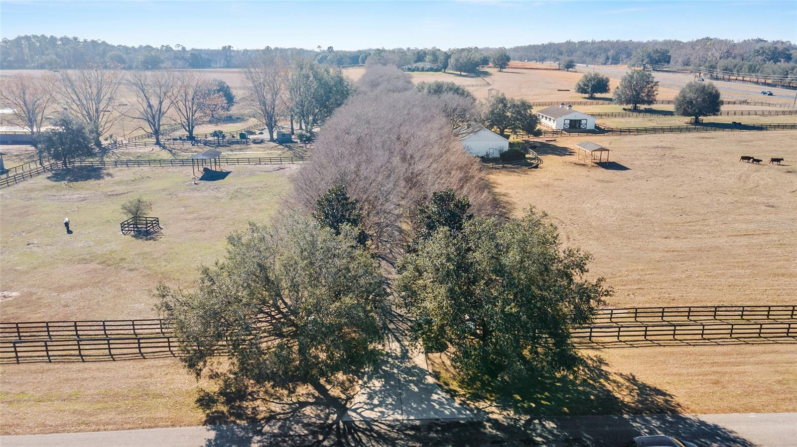 1080 NW 114TH ST, OCALA, FL, 34475