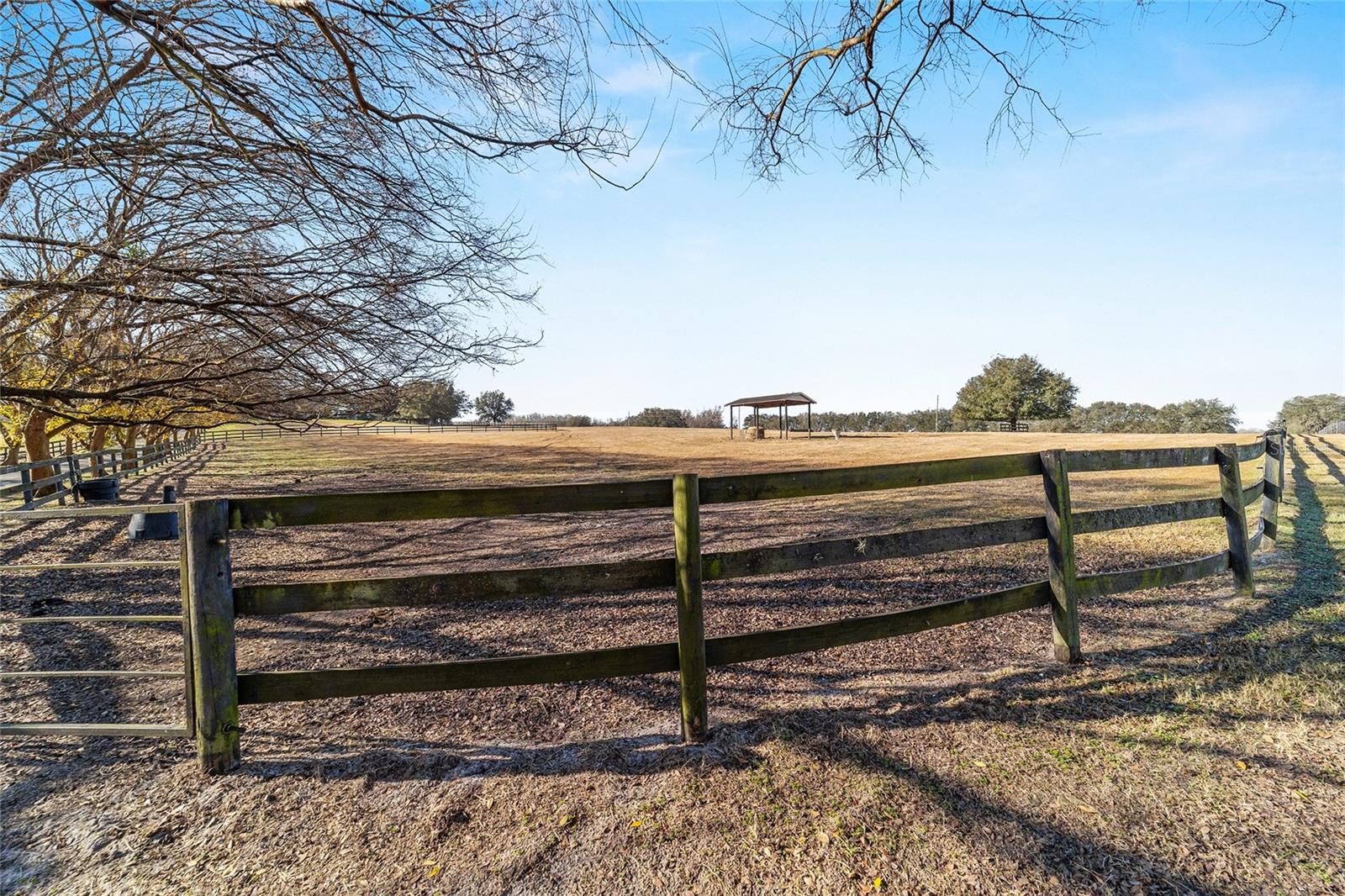 1080 NW 114TH ST, OCALA, FL, 34475