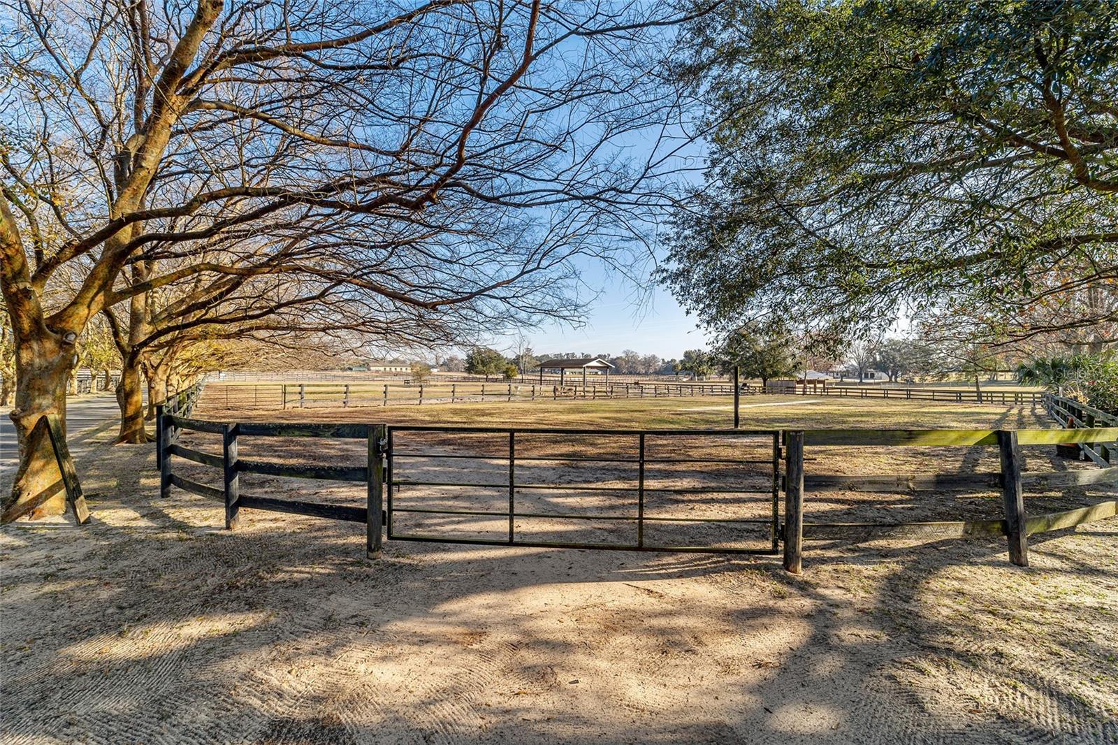 1080 NW 114TH ST, OCALA, FL, 34475