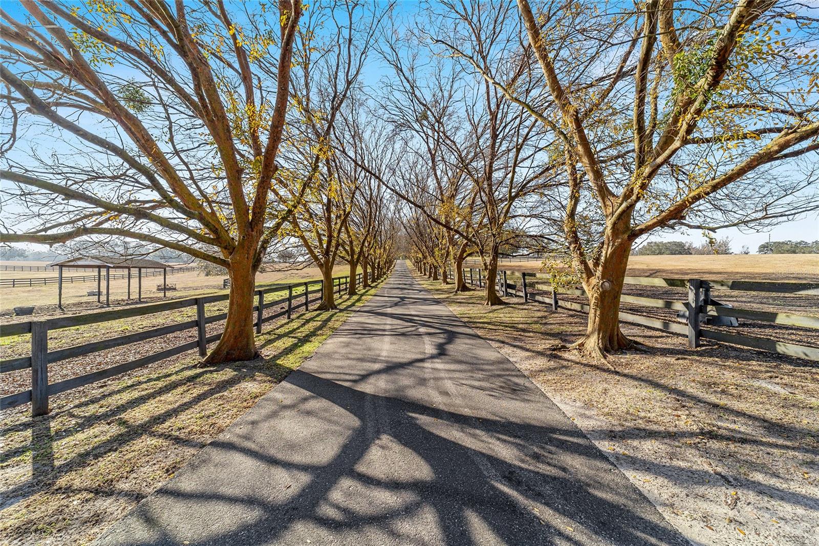 1080 NW 114TH ST, OCALA, FL, 34475