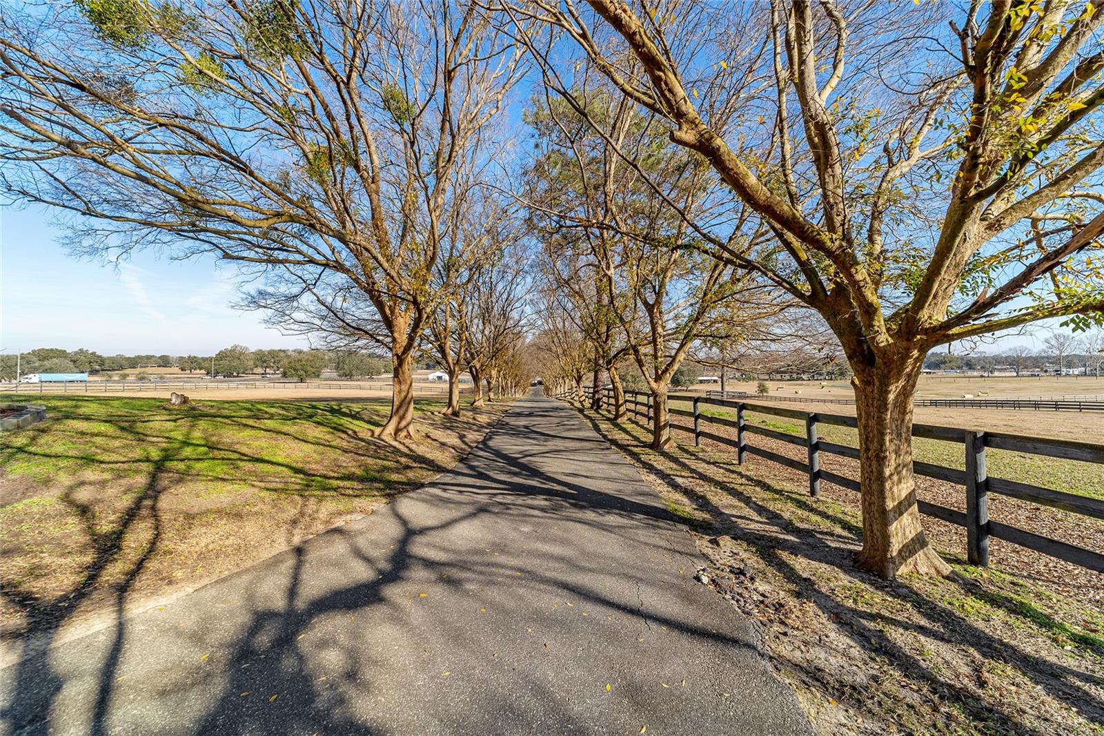 1080 NW 114TH ST, OCALA, FL, 34475