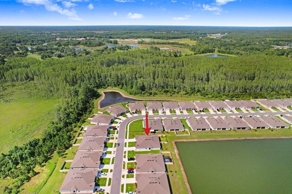 18058 TURNING LEAF CIR, LAND O LAKES, FL, 34638