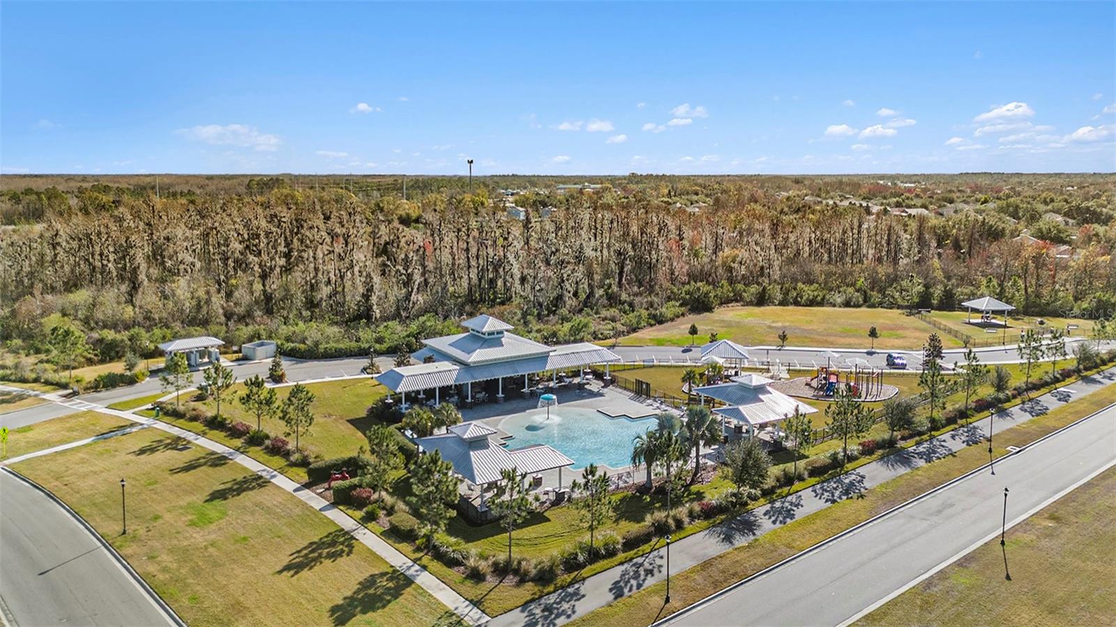 18058 TURNING LEAF CIR, LAND O LAKES, FL, 34638