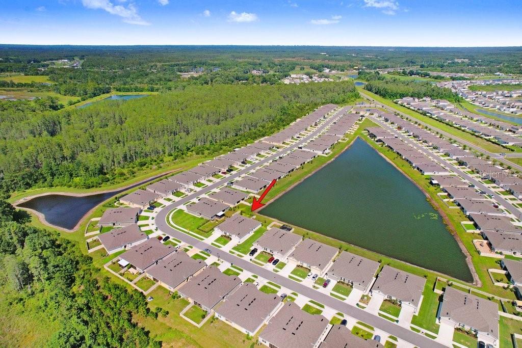 18058 TURNING LEAF CIR, LAND O LAKES, FL, 34638