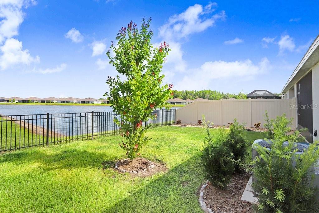 18058 TURNING LEAF CIR, LAND O LAKES, FL, 34638