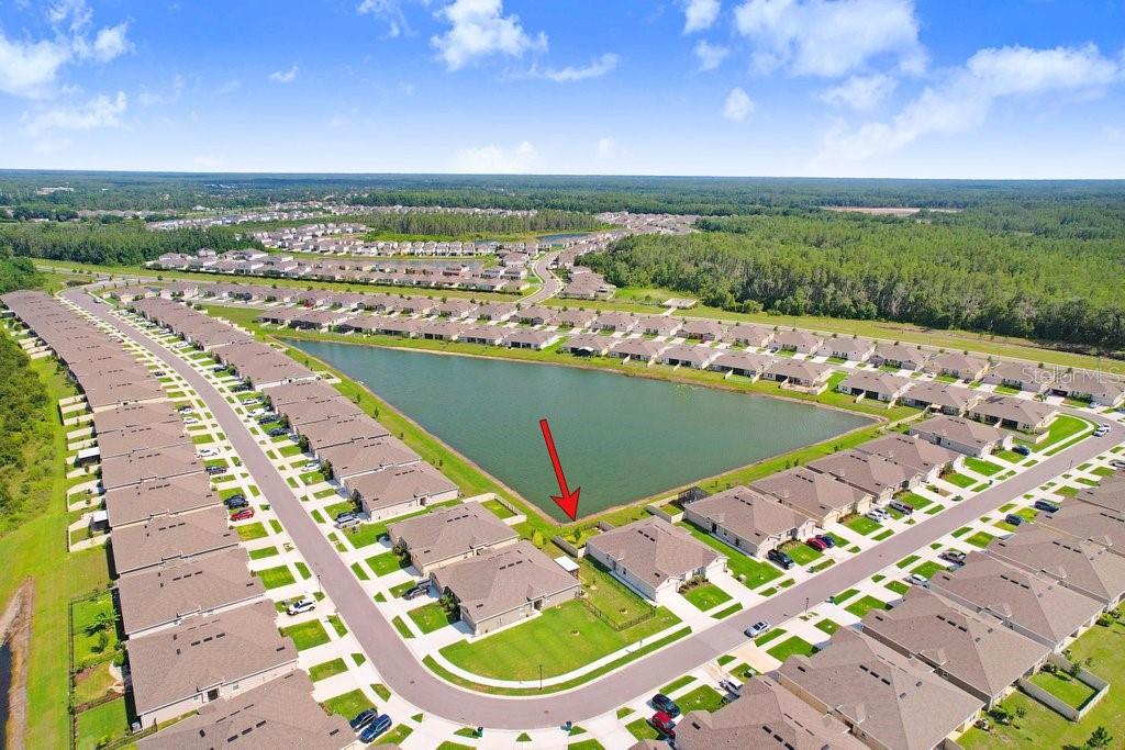 18058 TURNING LEAF CIR, LAND O LAKES, FL, 34638