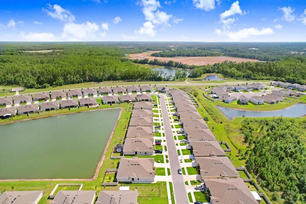 18058 TURNING LEAF CIR, LAND O LAKES, FL, 34638