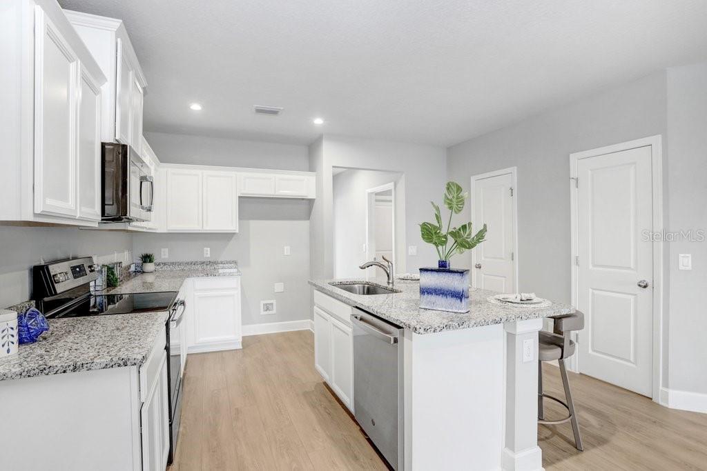 18058 TURNING LEAF CIR, LAND O LAKES, FL, 34638
