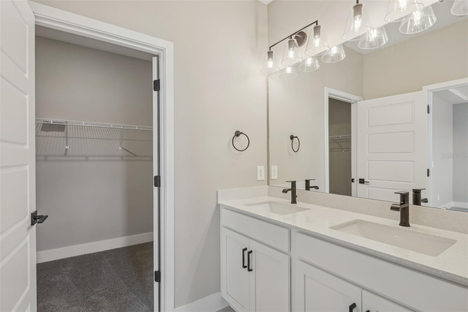 5087 RAILROAD VINE ALY, WINTER GARDEN, FL, 34787