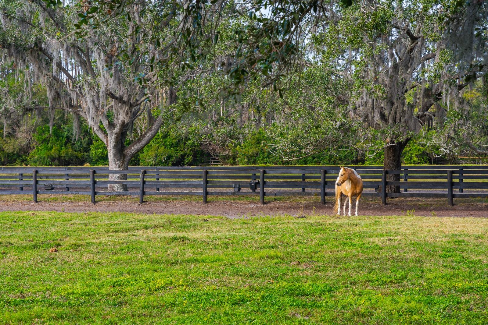 18029 LAKE REFLECTIONS BLVD, LUTZ, FL, 33558