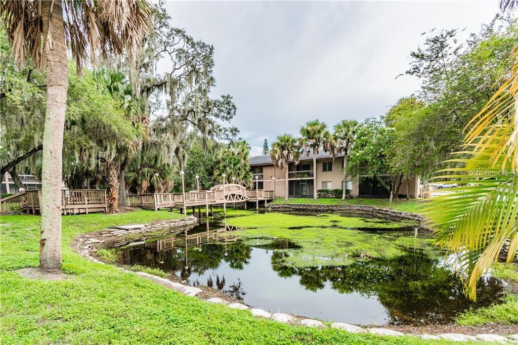 5504 POKEWEED CT #154, TAMPA, FL, 33617