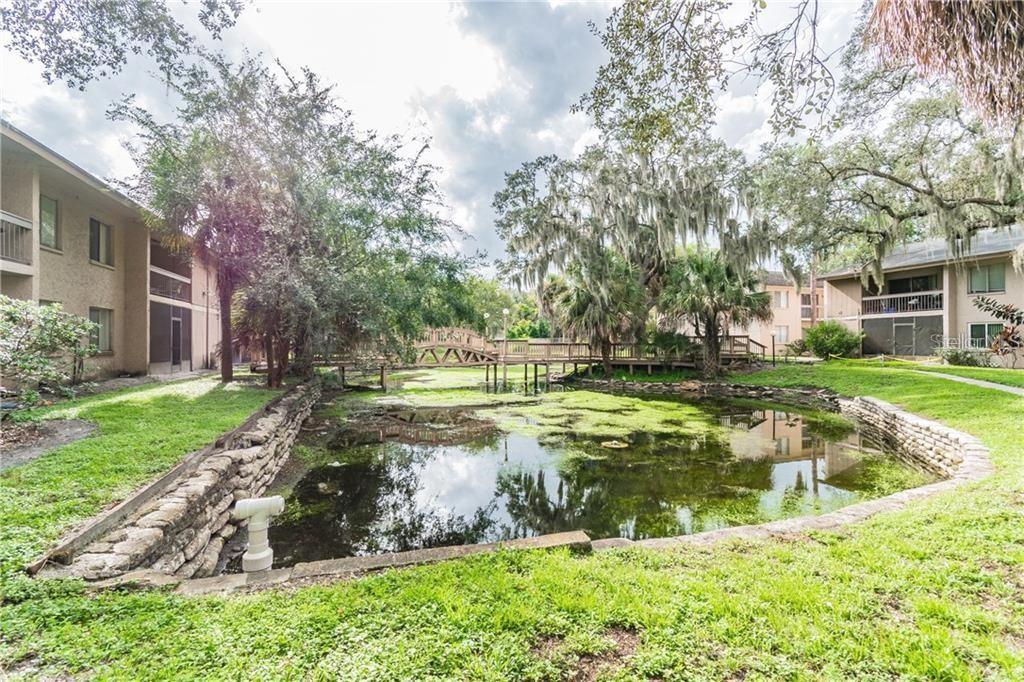 5504 POKEWEED CT #154, TAMPA, FL, 33617