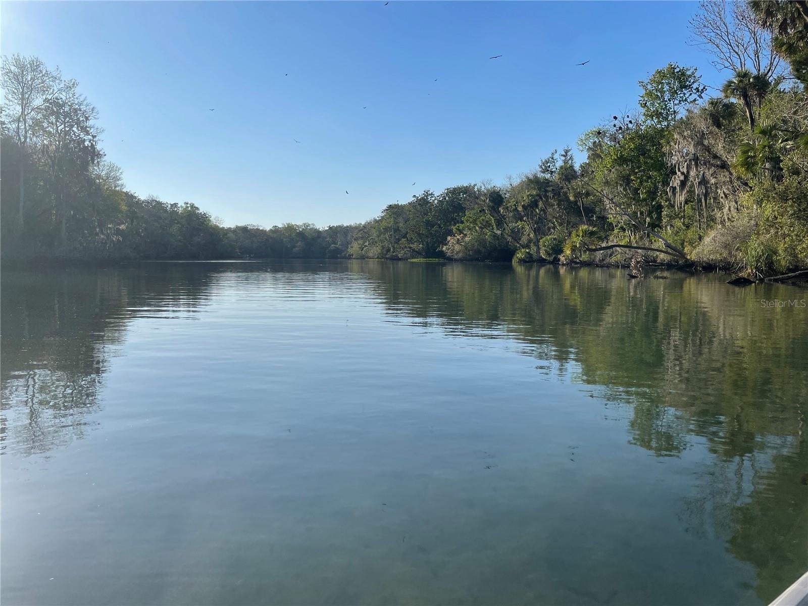 10096 S RIVIERA PT, HOMOSASSA, FL, 34448