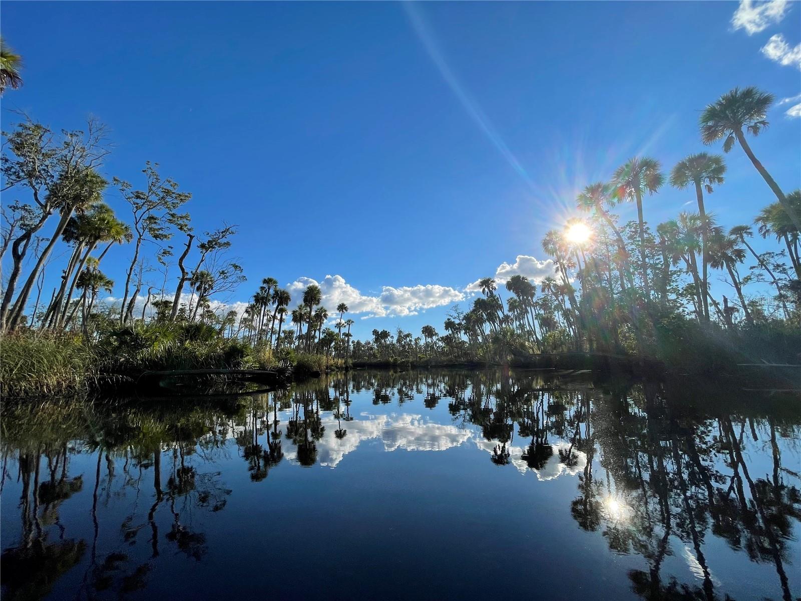 10096 S RIVIERA PT, HOMOSASSA, FL, 34448