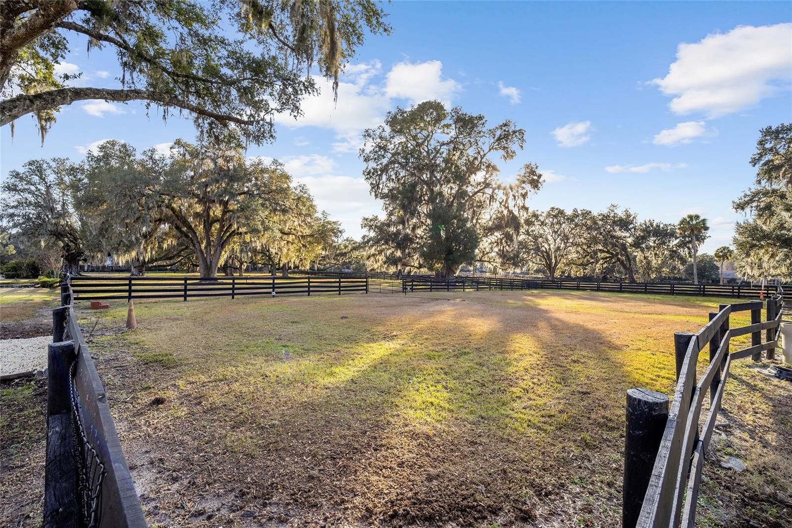 8180 SE 7TH AVENUE RD, OCALA, FL, 34480