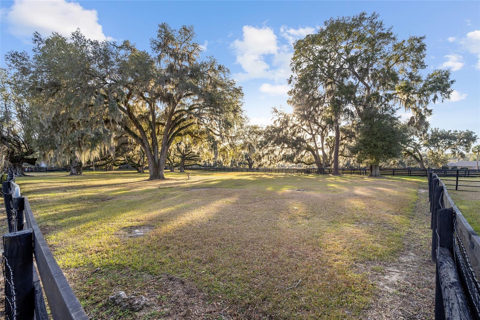 8180 SE 7TH AVENUE RD, OCALA, FL, 34480