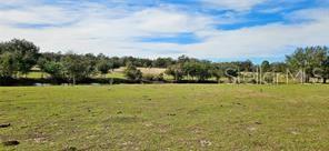 4541 GLEN ST. MARY ROAD, LAKE WALES, FL, 33898