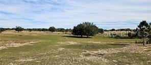 4541 GLEN ST. MARY ROAD, LAKE WALES, FL, 33898
