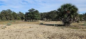 4541 GLEN ST. MARY ROAD, LAKE WALES, FL, 33898