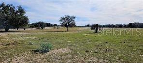 4541 GLEN ST. MARY ROAD, LAKE WALES, FL, 33898